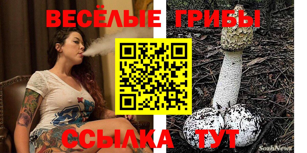 Галлюциногенные грибы MAGIC MUSHROOMS Котлас